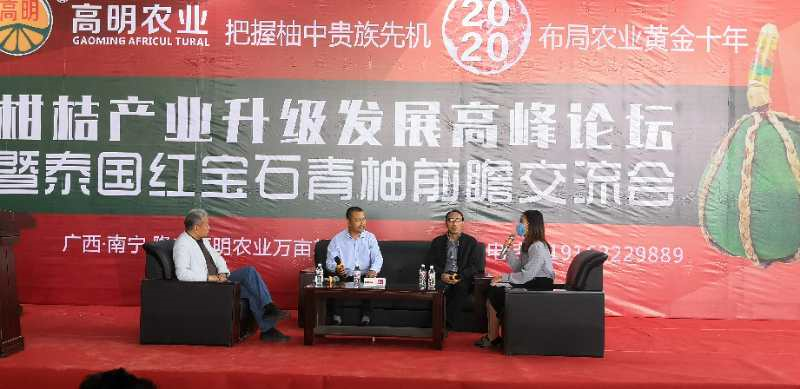 柑橘 价格