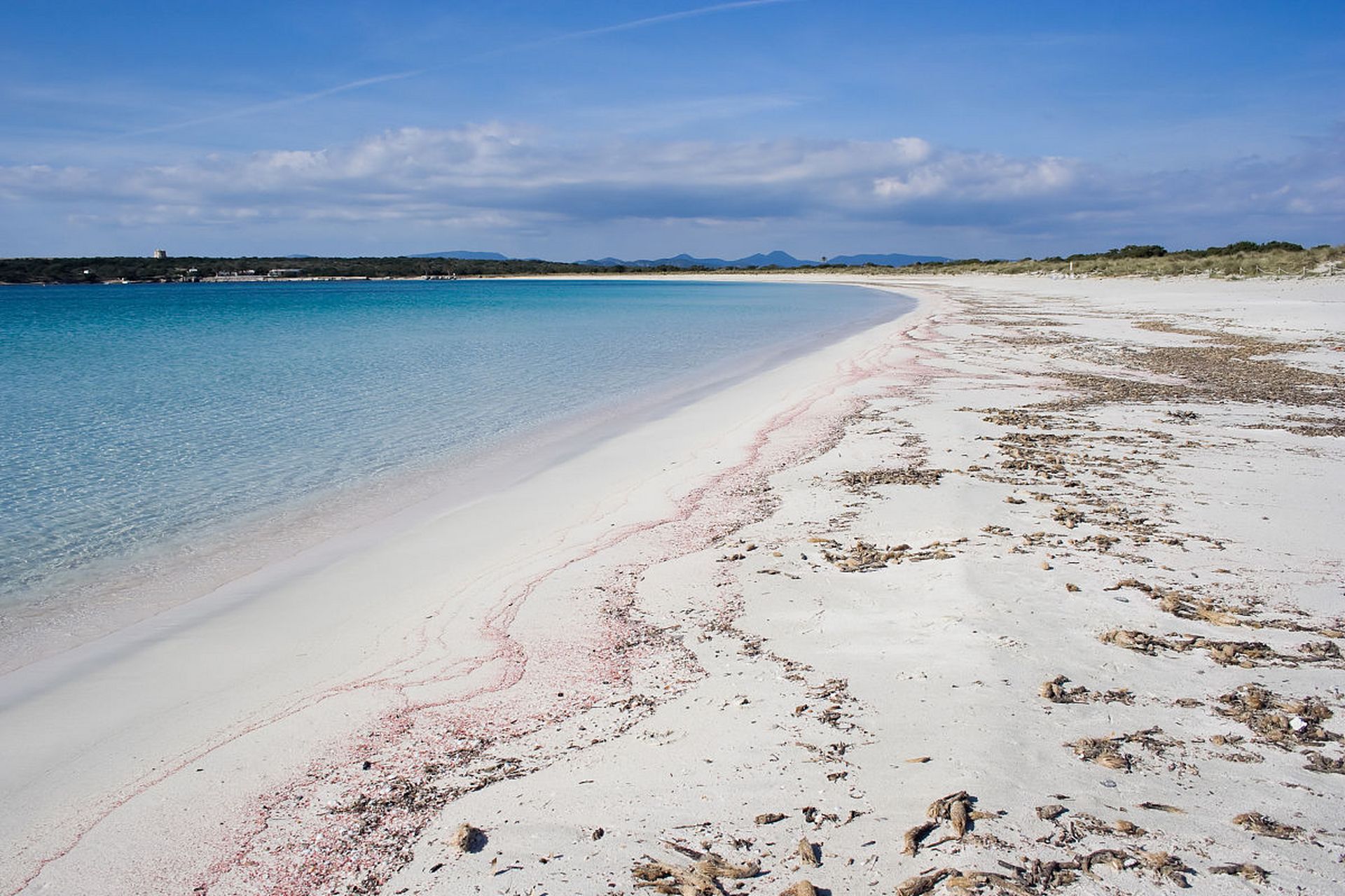 跨年创作挑战赛# 贝克海滩是旧金山周末度假的理想目的地.
