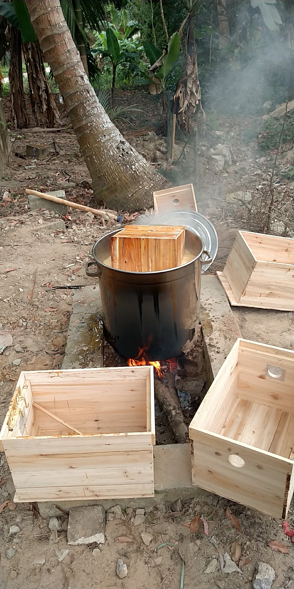 蜂箱- 热门商品专区