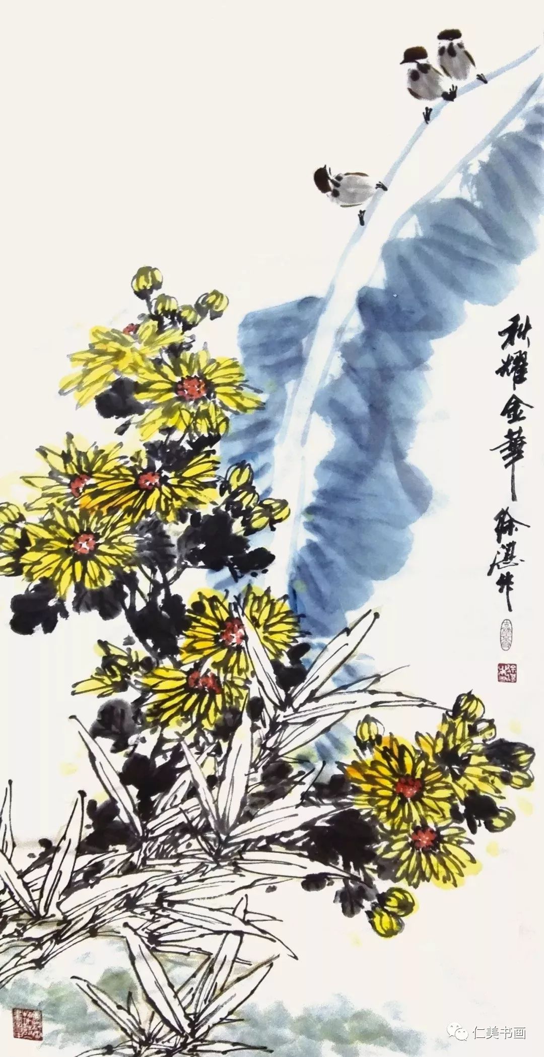 徐湛:一花一世界,一叶一追寻