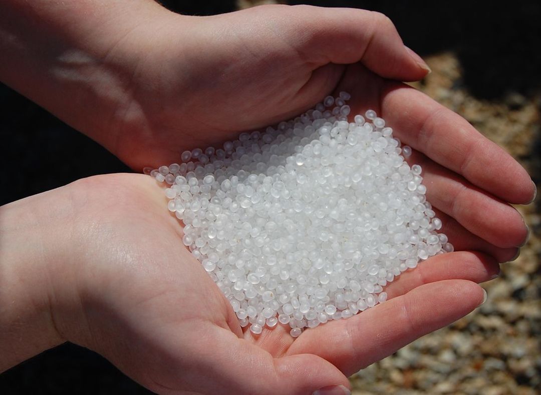 研究发现,微塑料能携带有害病原体漂洋过海