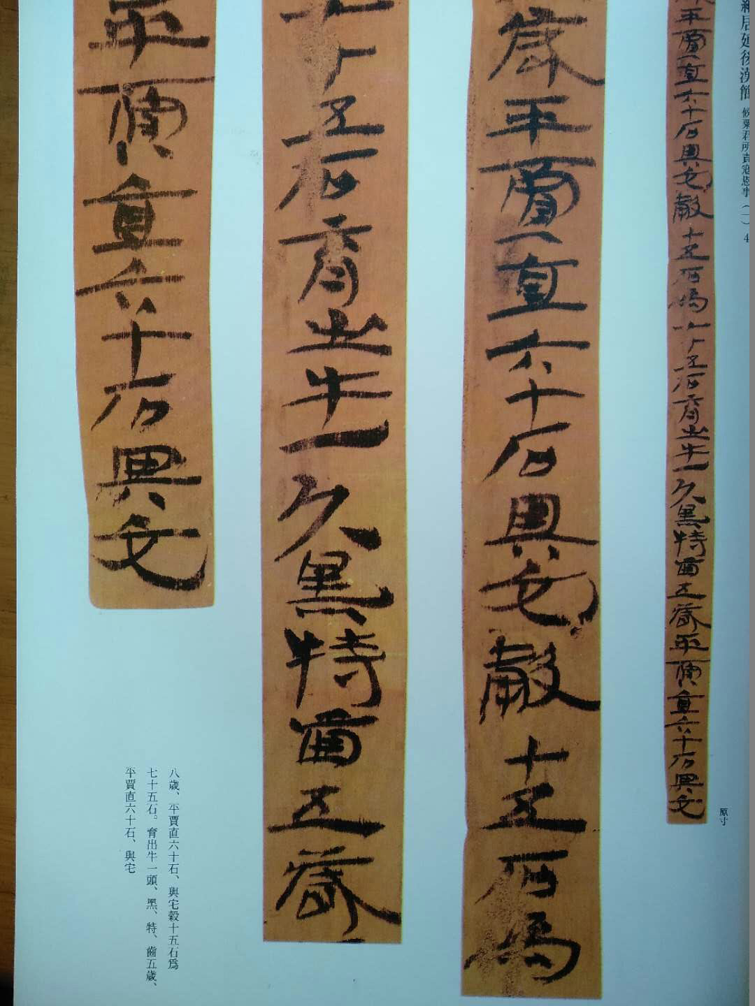 汉简-那些美丽的文字(饕餮盛宴高清大图百幅)