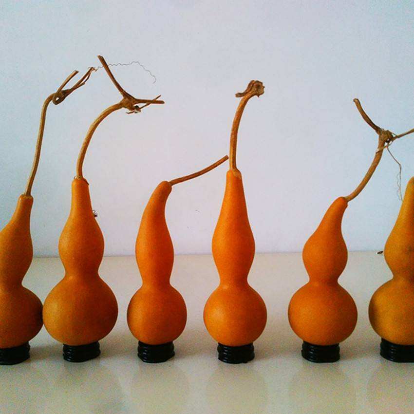 玩手捻葫芦最重要的不是包浆,而是挂瓷儿,文玩葫芦如何挂瓷儿?