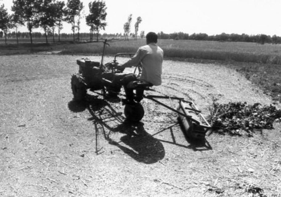 上世纪90年代农村老照片,不知看哭了多少80后?