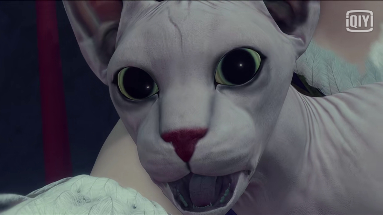 不良人第三季:论猫咪的三大用途,我只服女帝