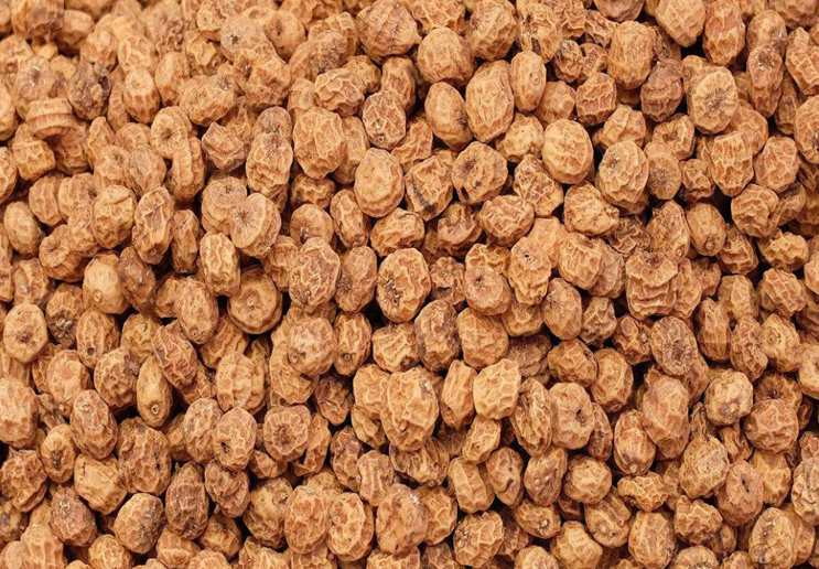 油莎豆,致富道路的新套路