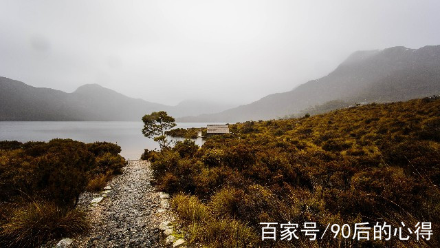 最有意境的句子,唯美煽情,送給深夜無眠的你