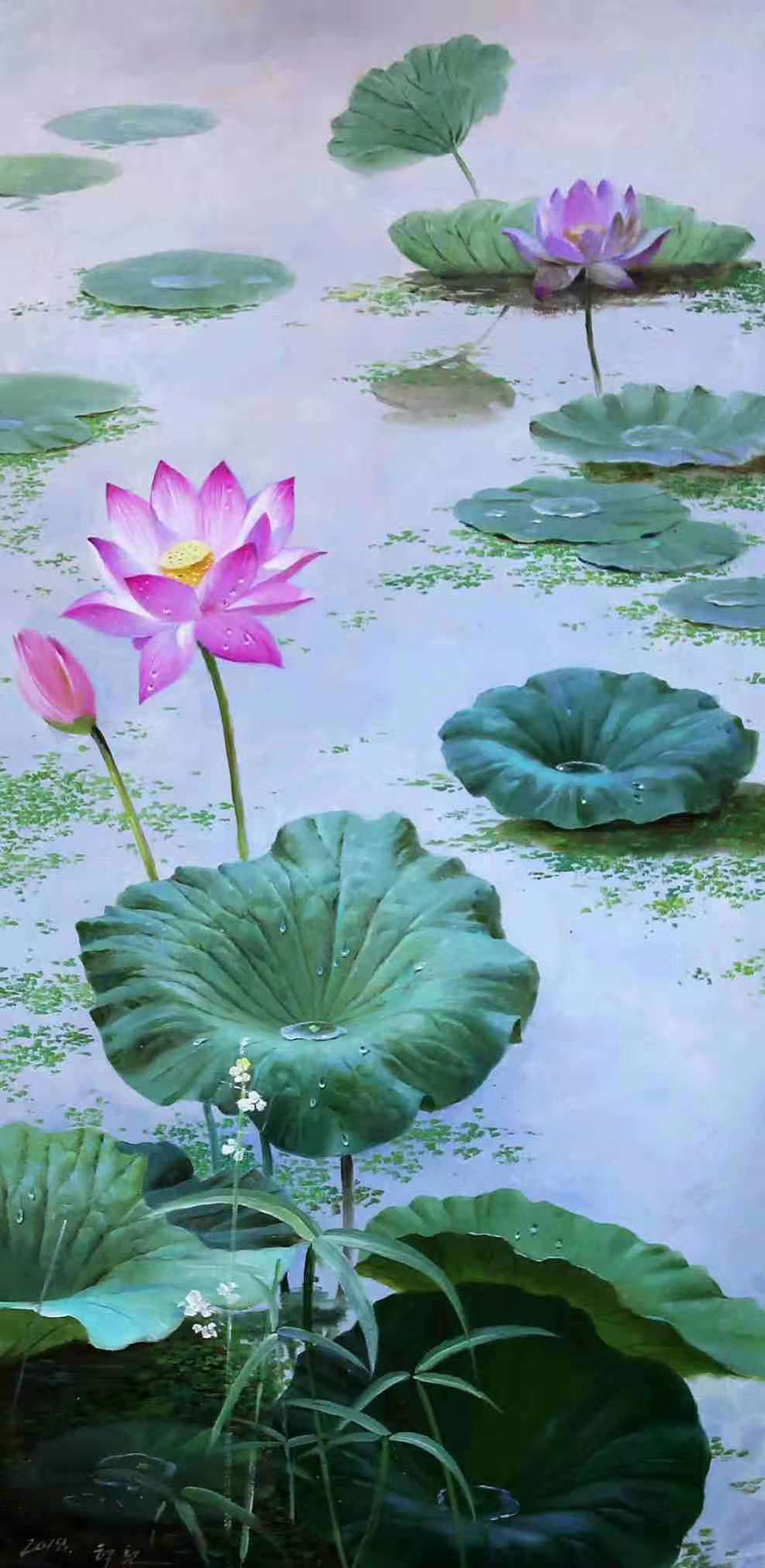 一组描绘莲蓬和翠鸟,雨中荷花和青蛙的油彩花鸟画,请欣赏