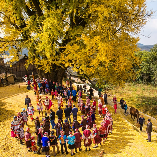 黄平县谷陇镇岩英村民族民间节日祭祀庆典