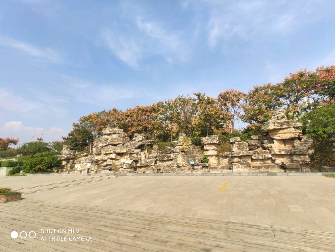 山东枣庄东湖公园,枣庄最火的湖之一,美景如画,北方的西湖!