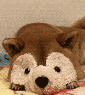 搞笑gif趣图:美女勒出完美曲线,可是太紧了,看得我一脸尴尬!