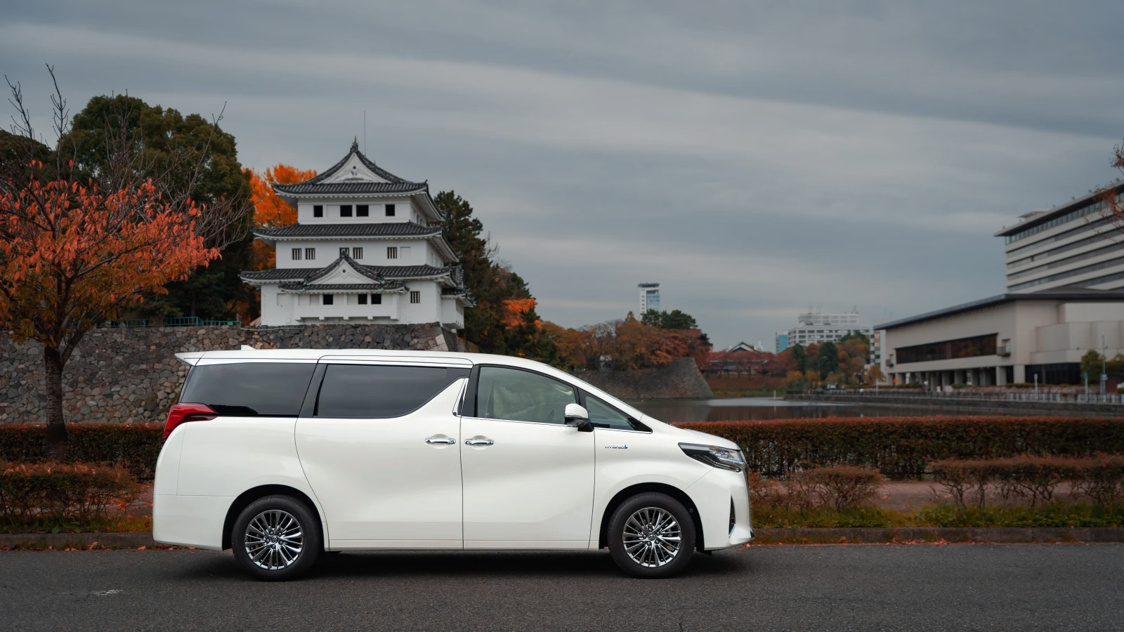 卖80万还要加价的丰田埃尔法!日本价格低到不敢想!