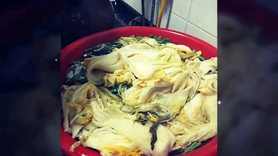 家庭自制咸菜 白菜青菜芥菜加点盐 咸菜晒出来