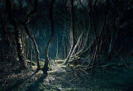 日本的迷雾森林:失败者的信仰,进去的人大多都会"消失"!