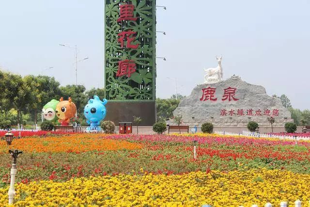 鹿泉区网站优化 baijiahao.baidu.com