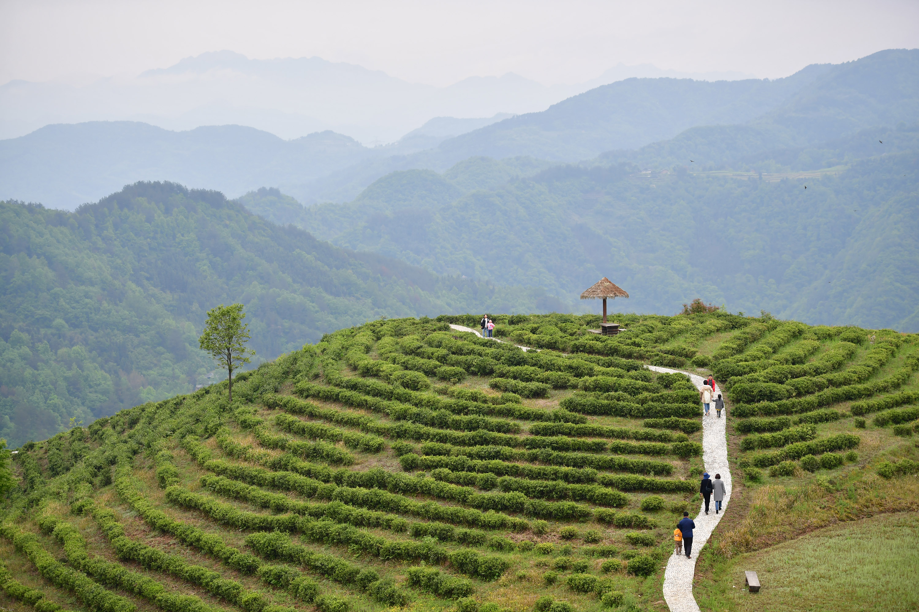 陕西平利:老县镇的新生活