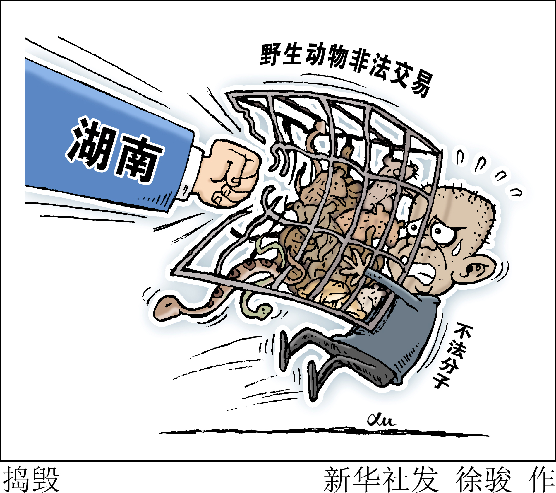 湖南侦破贩卖野生动物大案