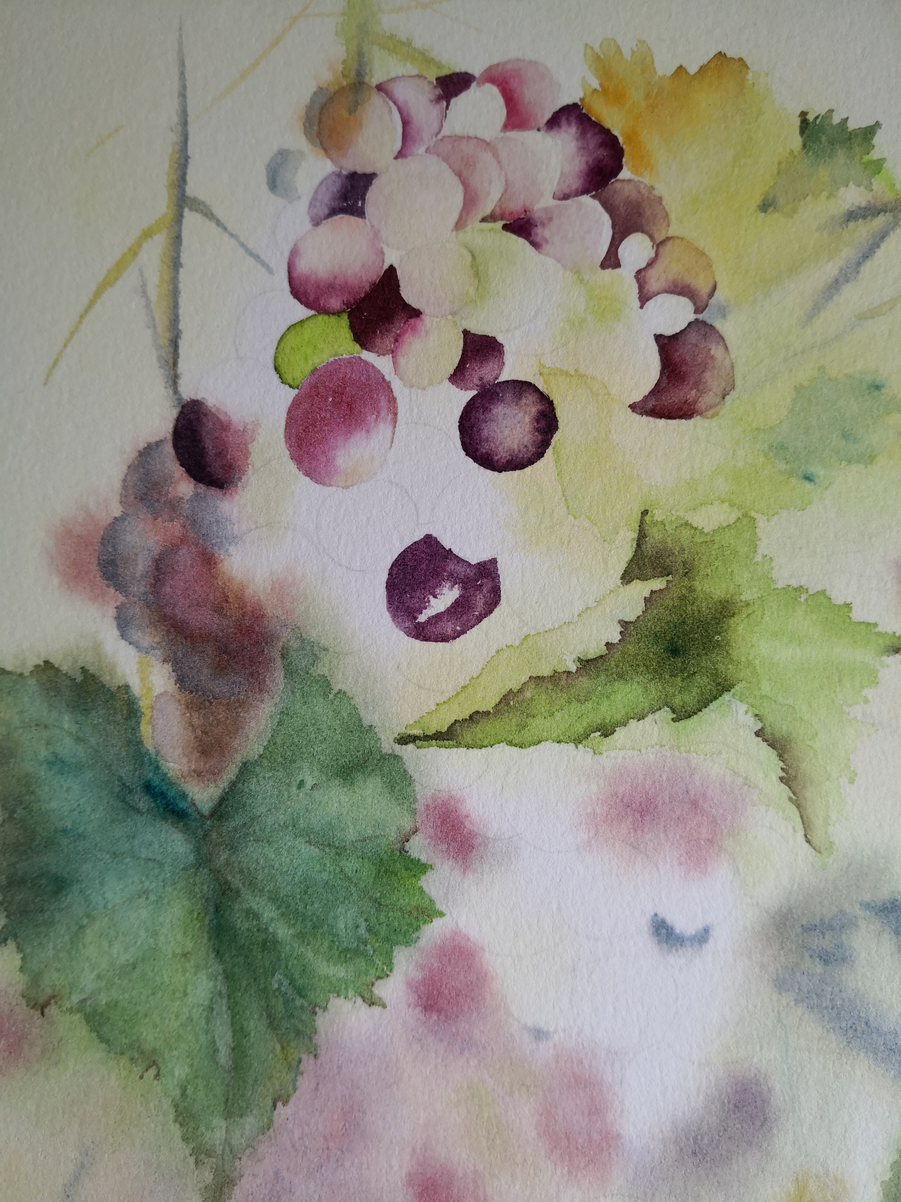 葡萄串水彩绘画步骤