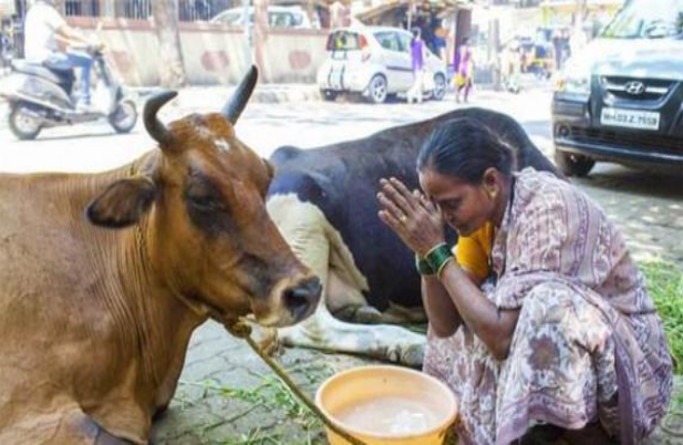 印度人不吃猪肉,也不吃牛肉,那他们吃啥肉?游客:还卖牛肉面呢