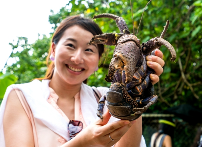 这一海鲜动物没有天敌,寿命可达60年,如今却已成稀有物种