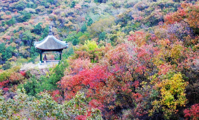 1922年春天,梅兰芳和萧紫亭,齐如山,王幼卿,李释戡等四人登香山路过