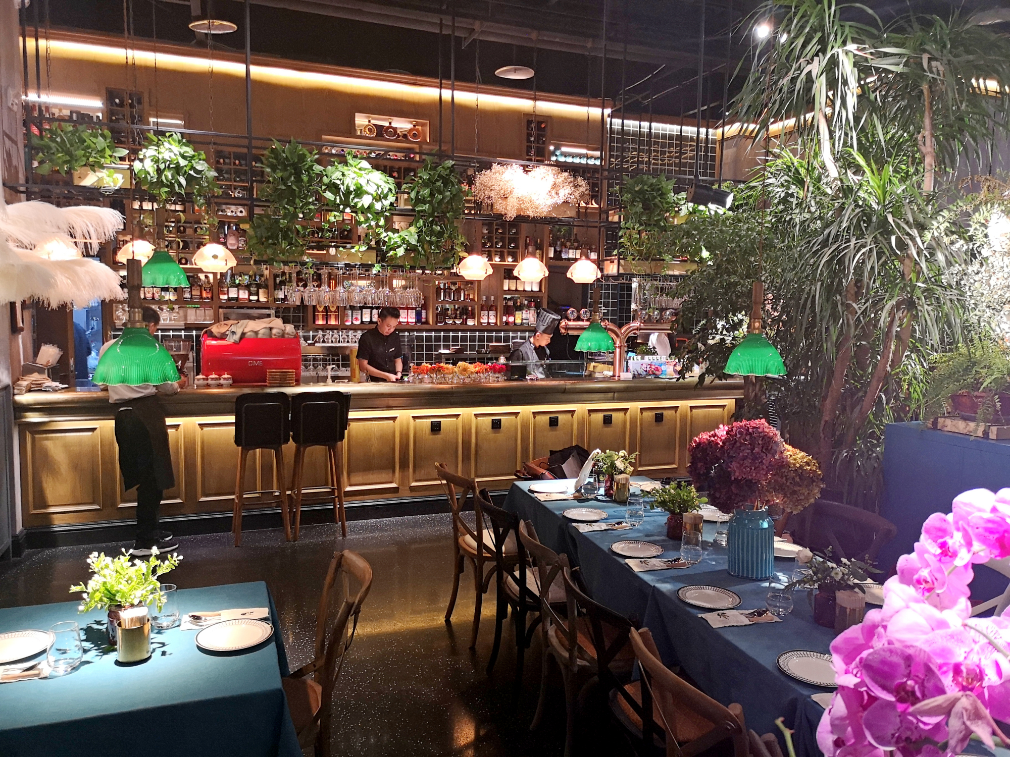 现实版爱丽丝仙境,重庆首家鲜花餐厅亮点太多,环境美食全部在线