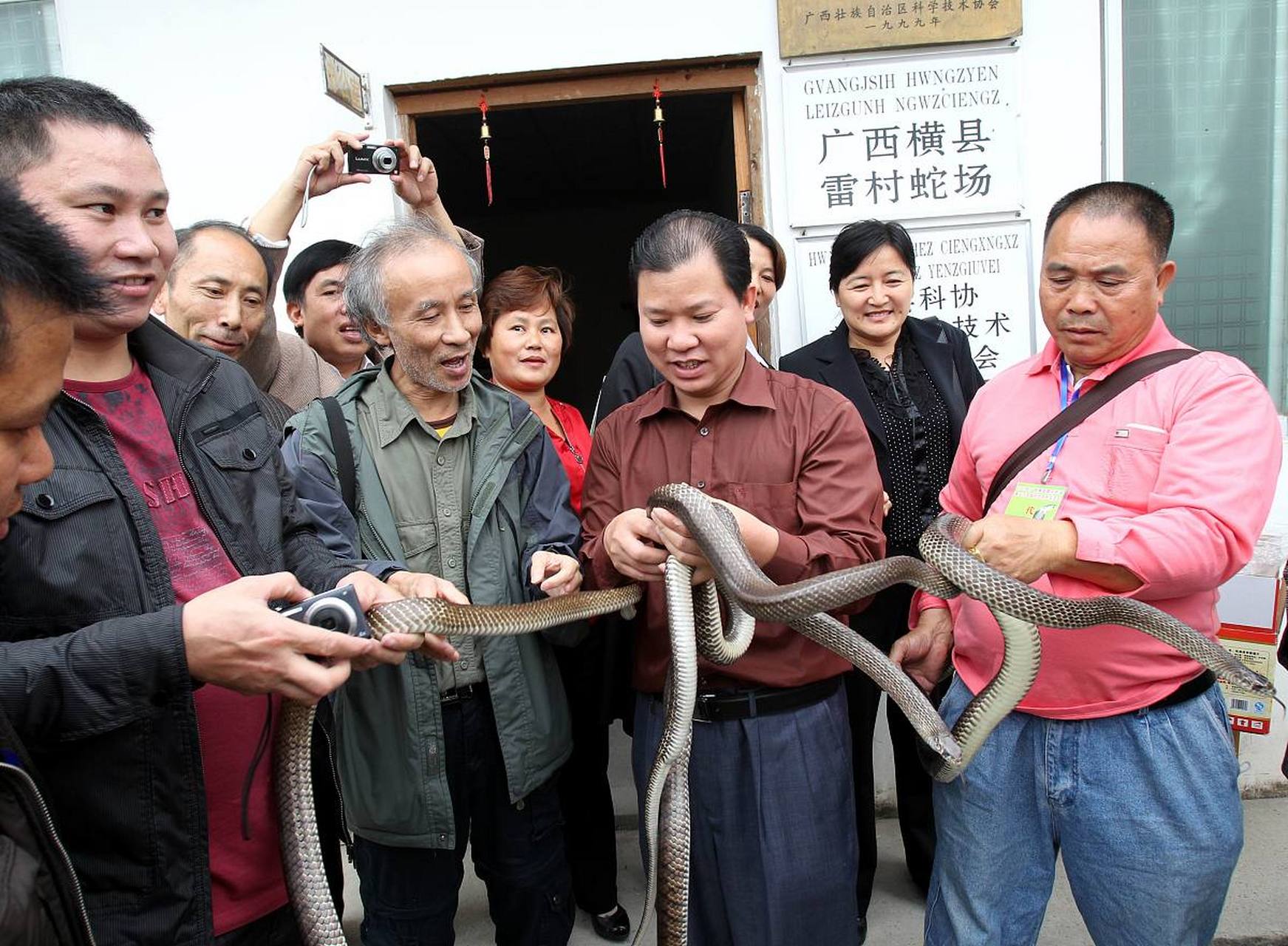 如何评价中国第一蛇村几百村民养300万条蛇?