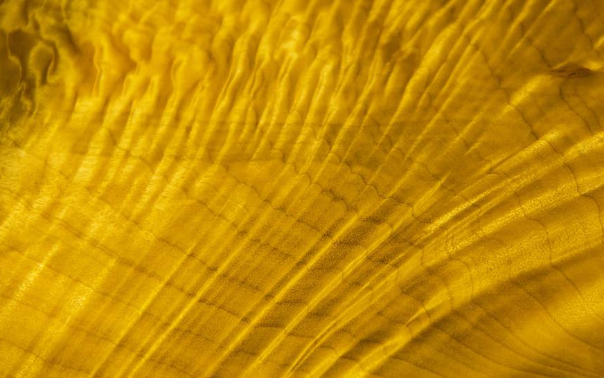 楠木- 2020年最新商品信息聚合专区 - 百度爱采购