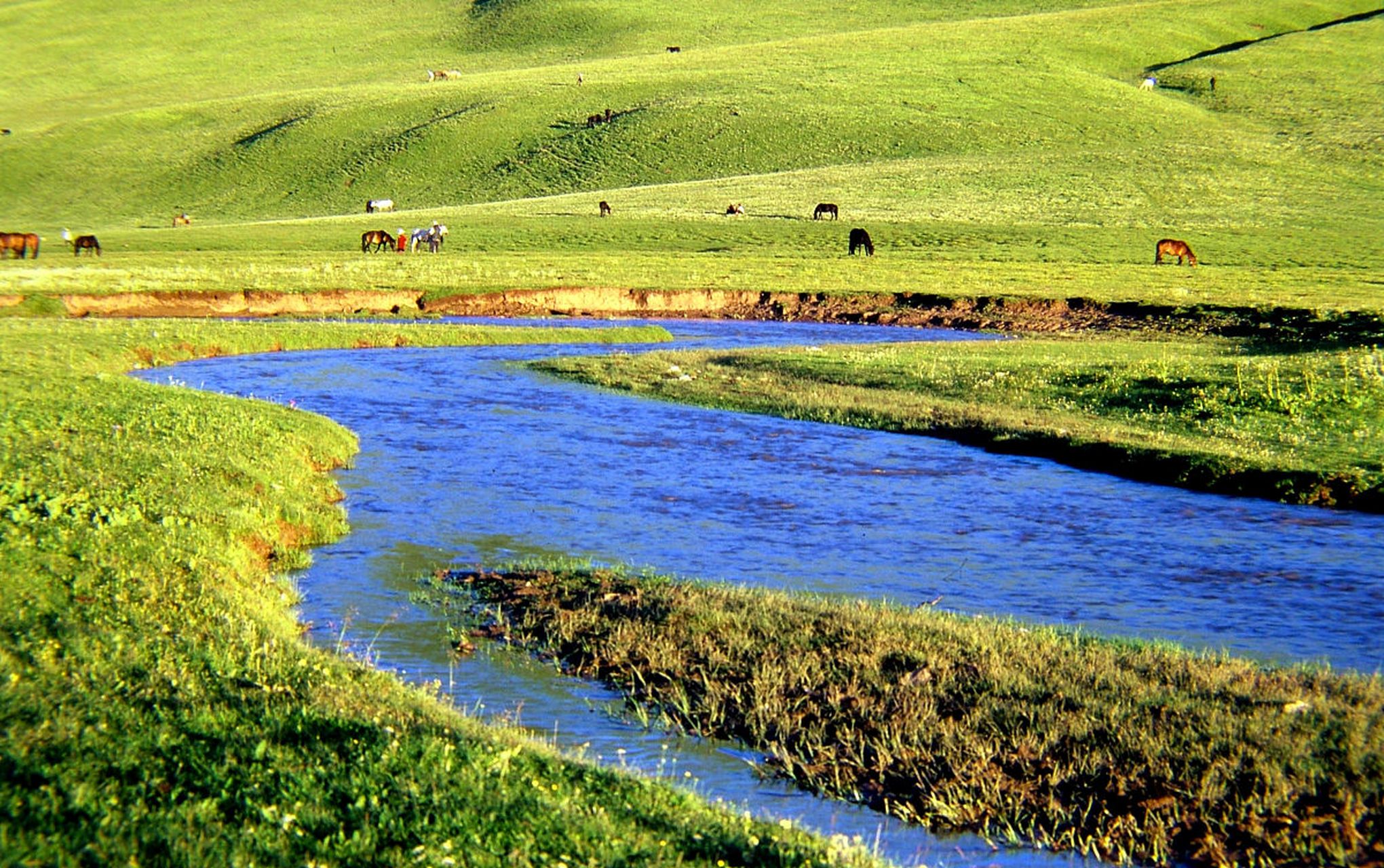 分享图片川西色达
