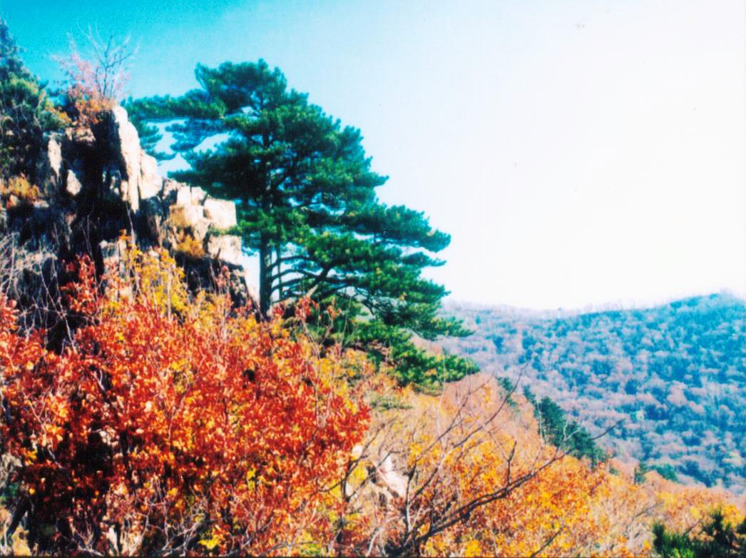 除了宜興靈谷洞,鐵嶺城子山,空氣很新鮮的知名旅遊休閒場所原來還有