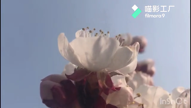 网上学的教程制作了一个视频