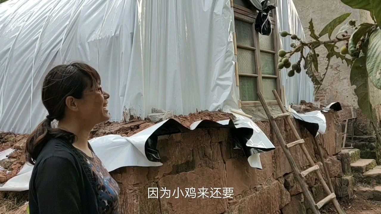 农村七零大姐搭大棚养鸡,今天又安装了一扇窗,大家看看怎么样