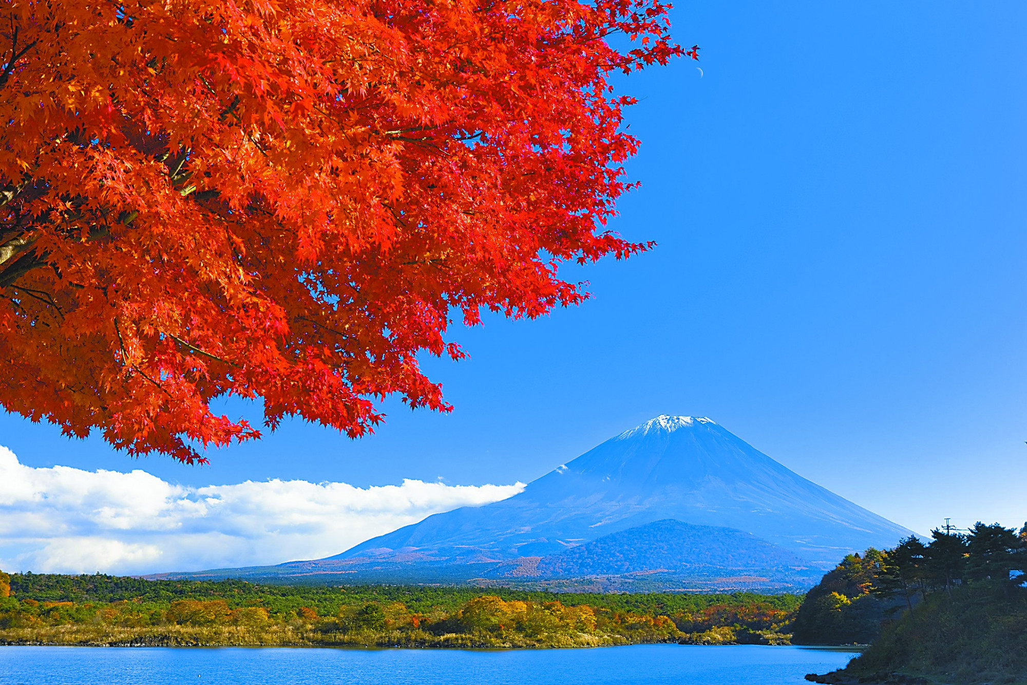 富士山的秋天