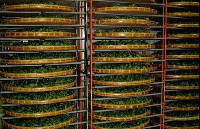 蒸气- 热门商品专区