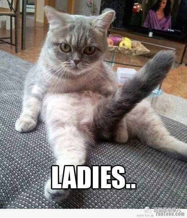 茫茫深海中找到自己女王,被吸收化为她身上生殖腺……动物界奇怪羞羞