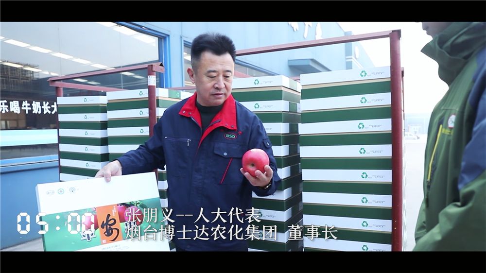 苹果树苗哪里卖