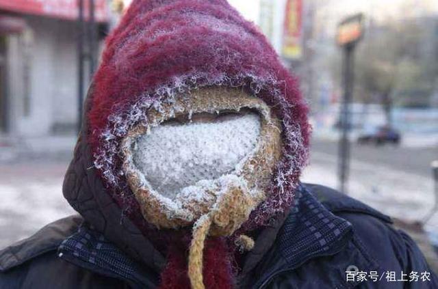 东北早市的那些商贩,从头到脚严严实实,只为抵御零下30度严寒!