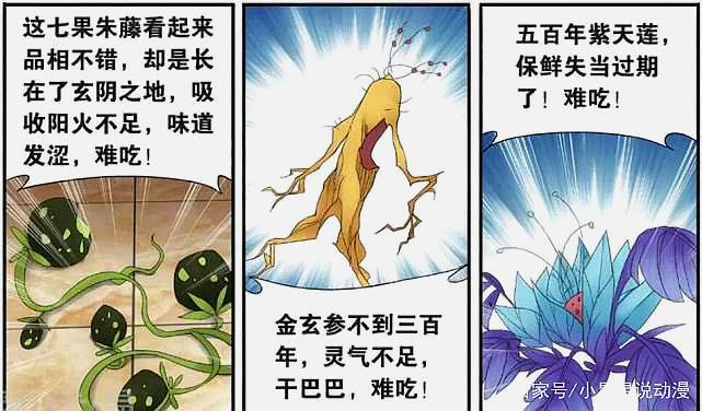 斗破苍穹:紫妍自诩是美食家,常偷食药材,为何只有萧炎能管住她