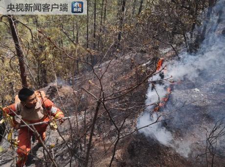 云南宁蒗森林火灾明火扑灭 扑火人员转入火场清理