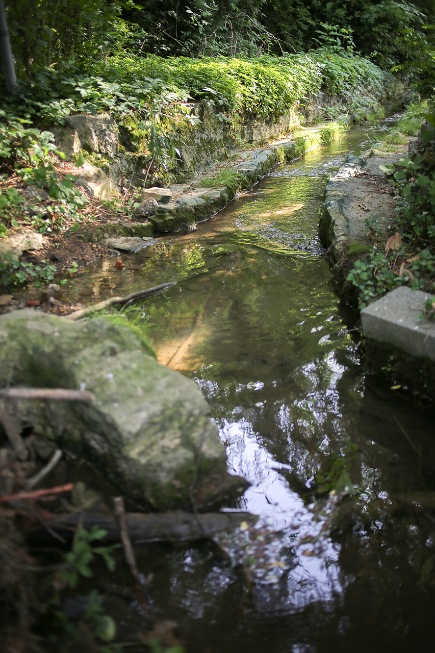 虎跑泉位于杭州市区,是游客们喜爱的一个旅游景点