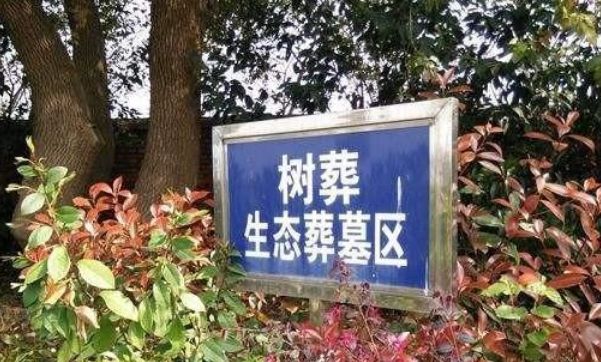 人的骨灰多年后会发生变化?专家不再隐瞒
