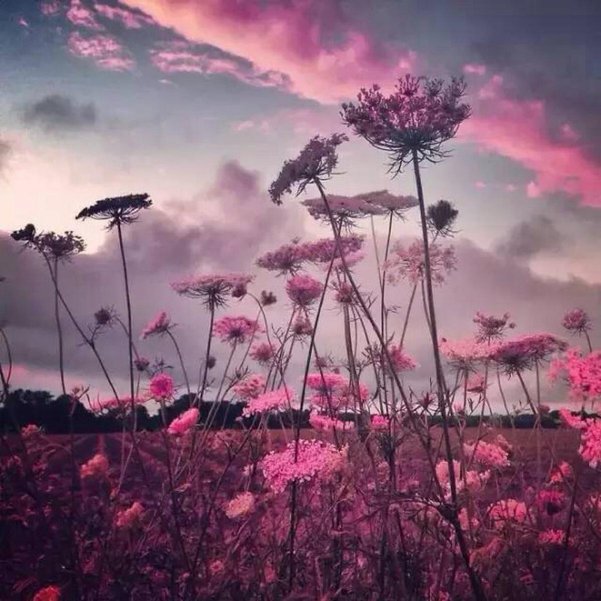 你的微信头像,暴漏了你的人生观