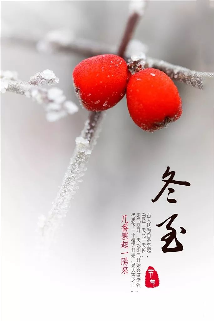 冬至|冬将过半,写给冬日的寄语