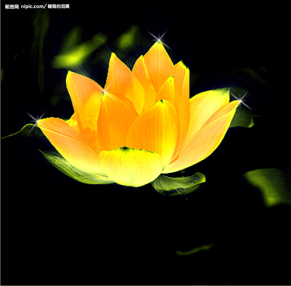 武林外史:"血珊瑚","九珠连环"和"圣池金莲"有何来历?