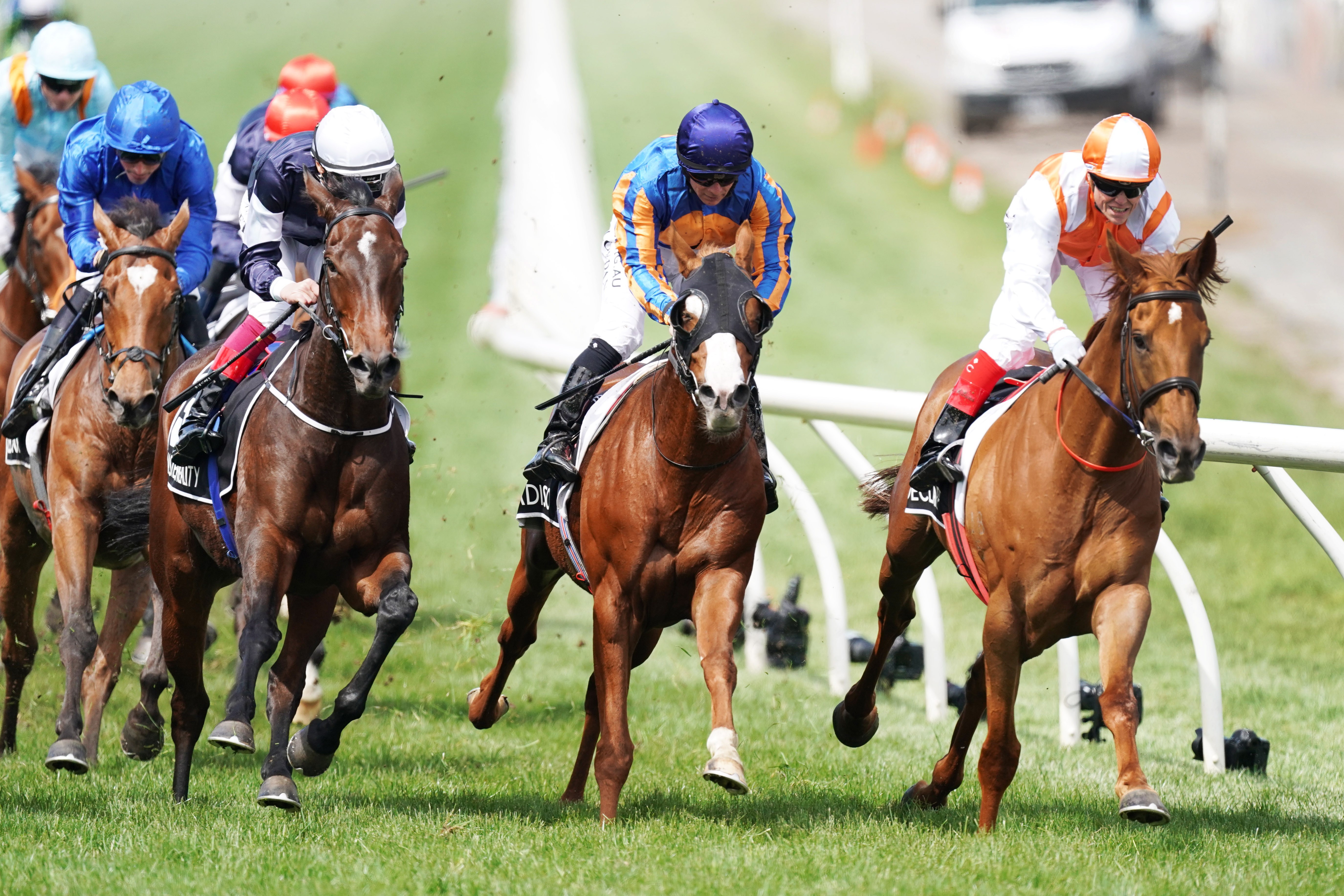 赛马——墨尔本杯:澳大利亚骑手夺冠(3)