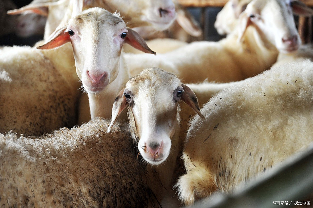 2020年最新商品信息聚合专区 - 百度爱采购