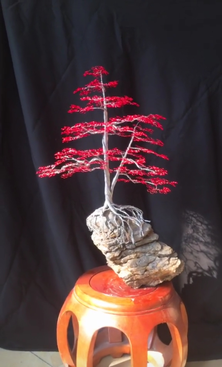 美轮美奂的红枫盆景,街上一盆几千块,有这个技术我就是土豪!