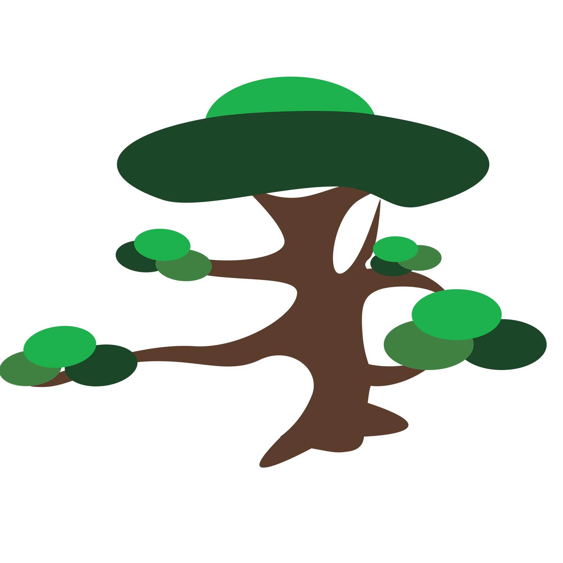 罗汉松 - 热门商品专区