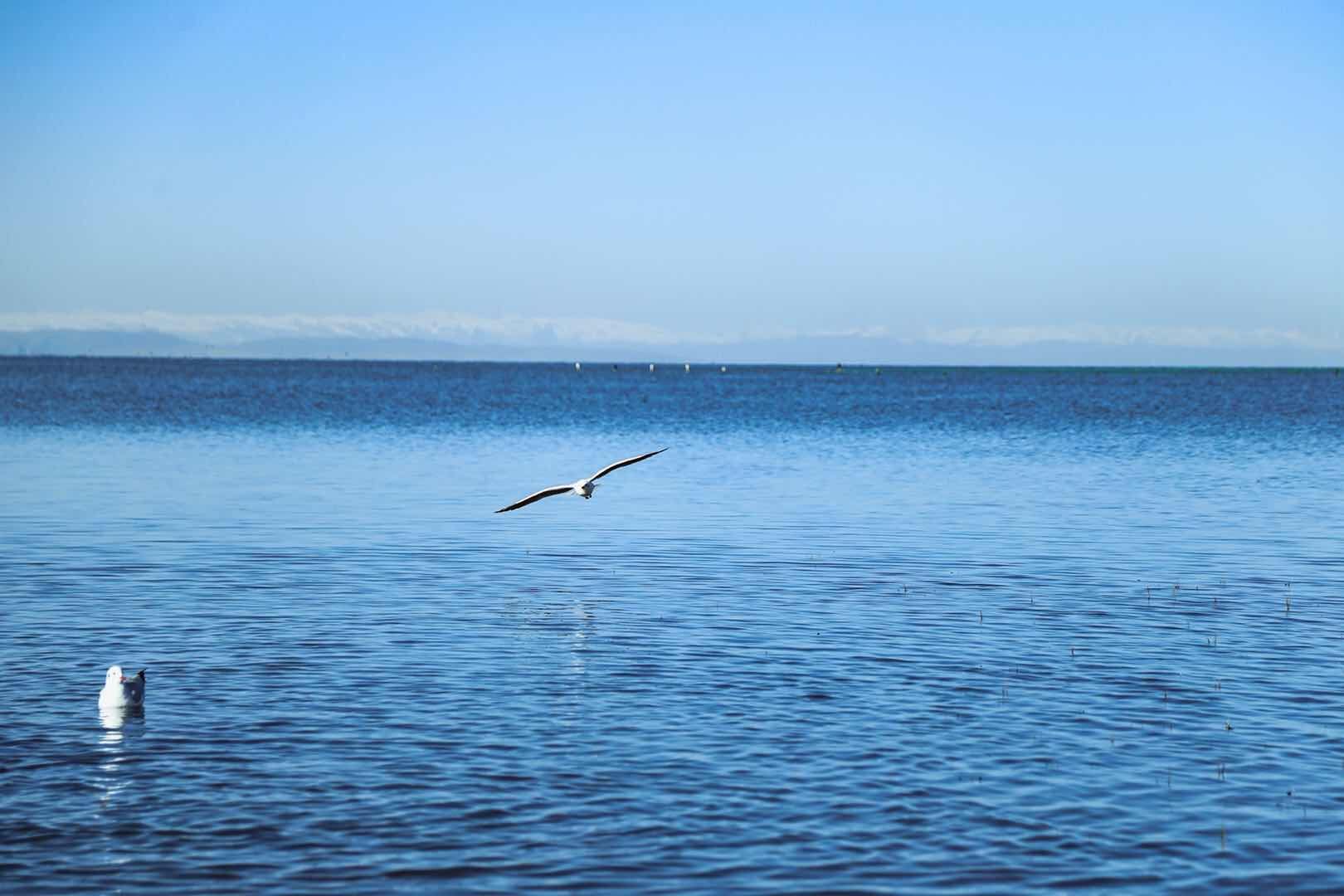 青海湖仙女湾景区图片