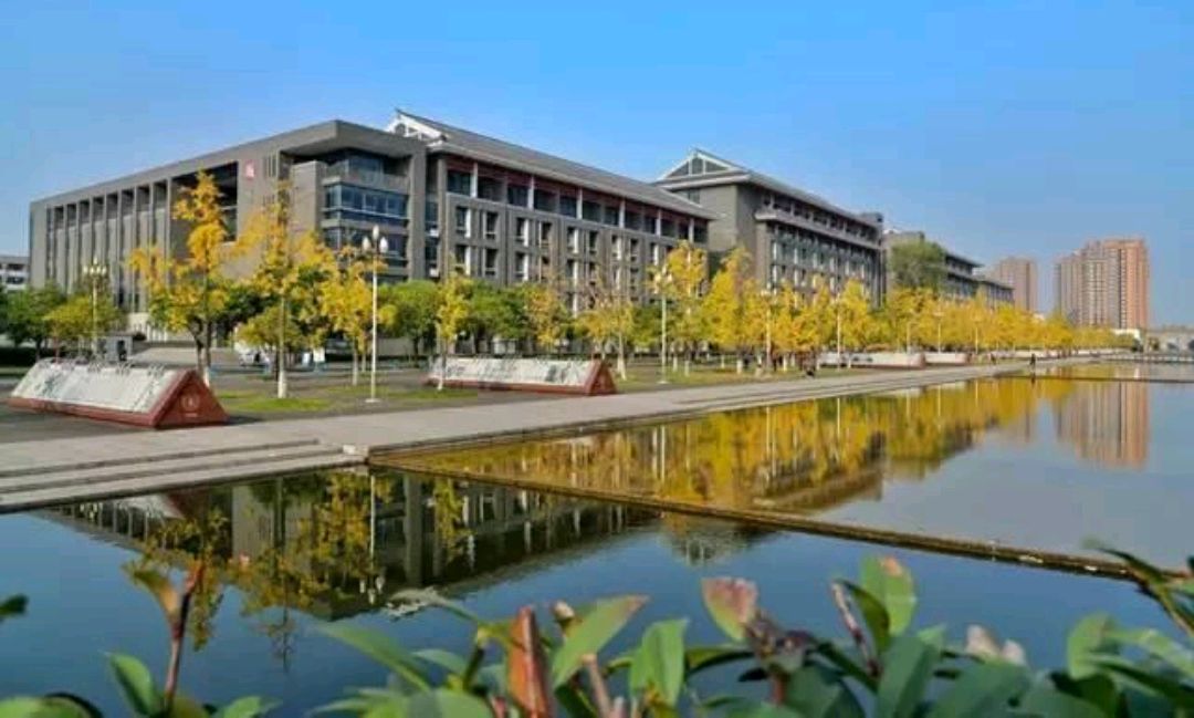 成都中醫藥大學和西南醫科大學,哪個實力更強